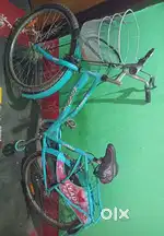 This bicycle is only 5 months.