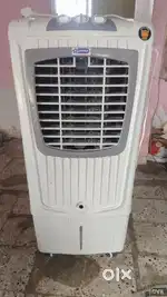 JAINIKA COOLER