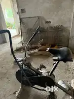 Manual gym cycle Lifeline fitness