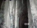 Window curtains