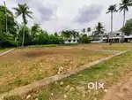 Koonamavu house plot