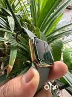 Apple Watch Series 9 41mm Stainless Steel LTE Gold