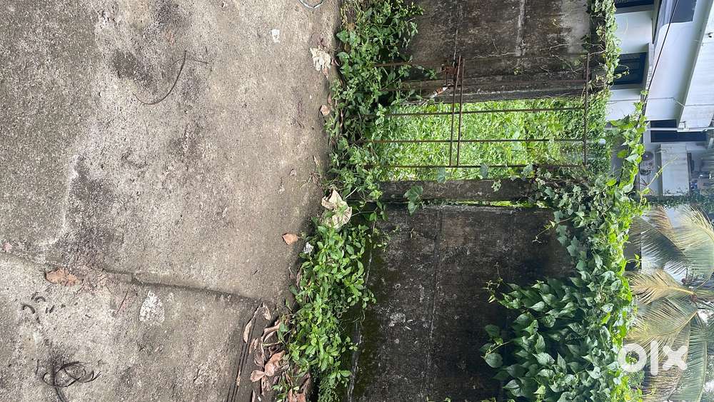 House Plot of 7.41 cent for sale near Reliance Mall , Kalarcode