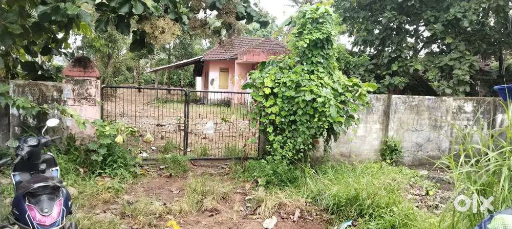 53 cent for sale near karunagappally railway station