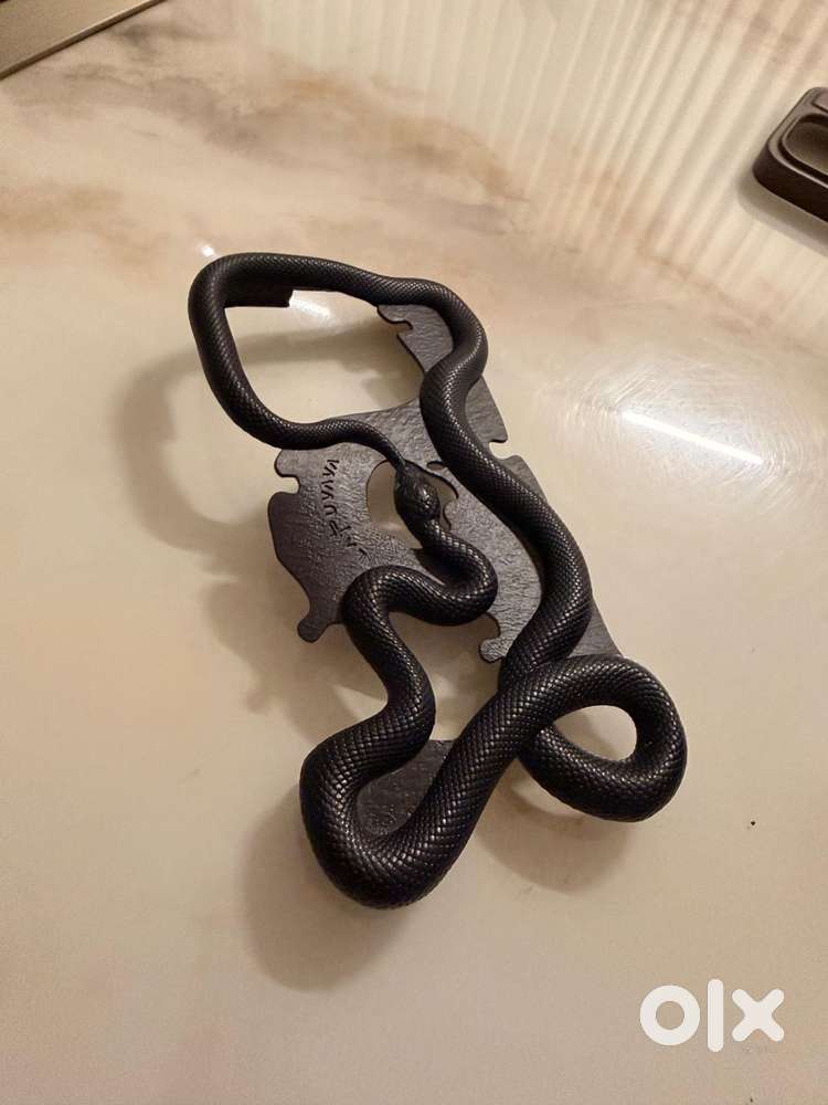 Snake case by lapuvava