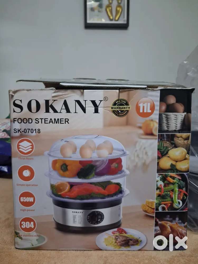 Food steamer
