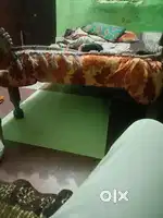 Murgi farm k liye husband wife ki jrurat hai 4000 murgi ka farm hai