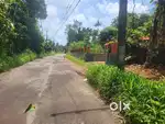 120 cent land and old house