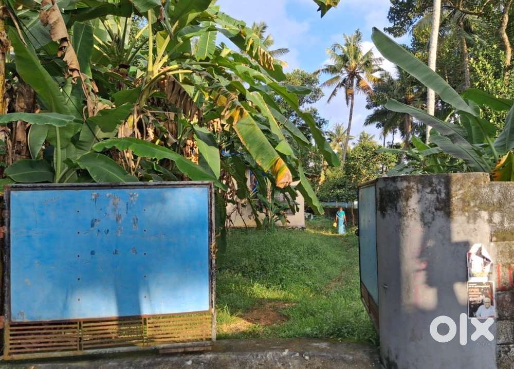 Residential Plot for Sale in Kazhakuttom