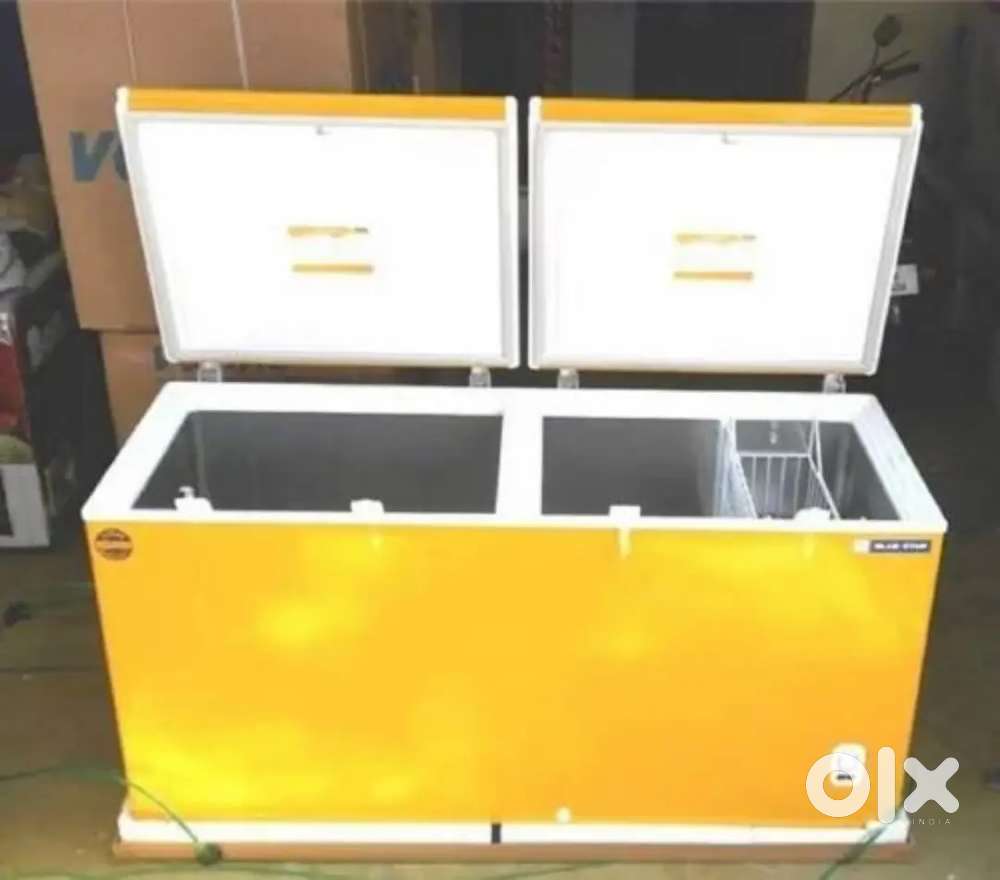 Blue Star . Double door.freezer