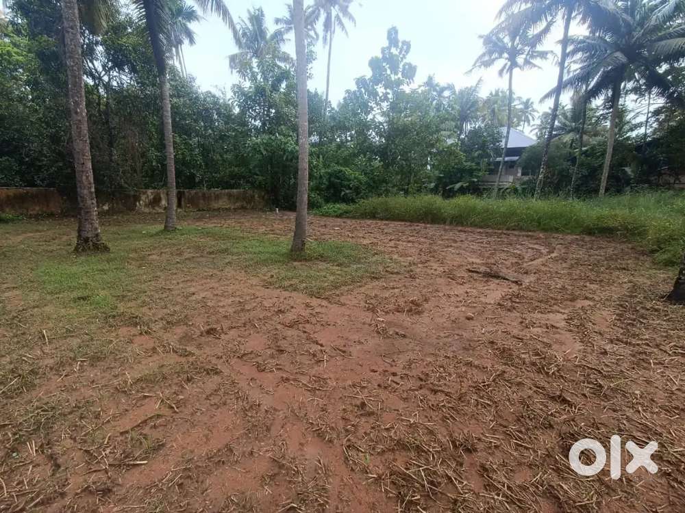 Feet land for rent.. For ware house or marble storage