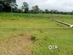 143 bhi h plot m