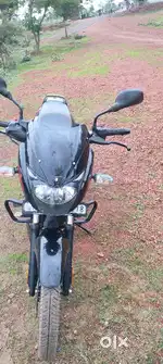 Bajaj pulsar 125 New November 2024
