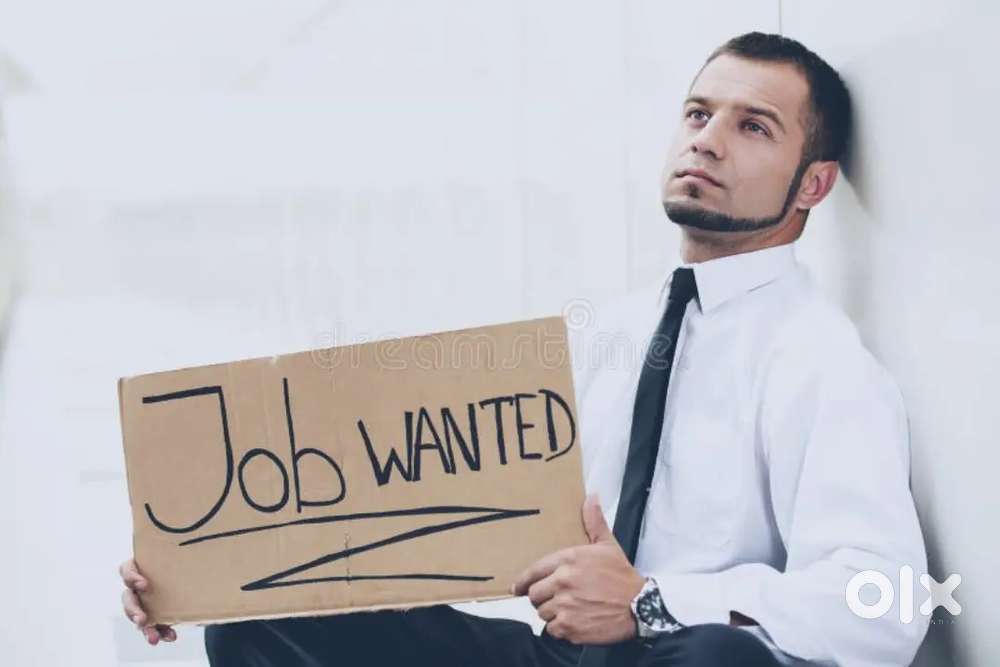 Need for Job boy