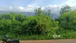 Land for sale kollengode