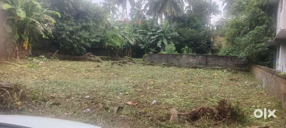 11cent residential plot near Gems Hospital Kizhakkumpattukara