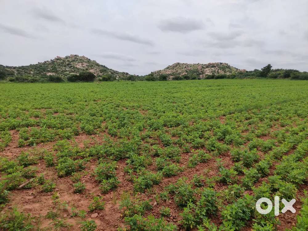 This land is nice for forming