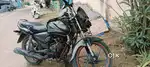 Honda shine