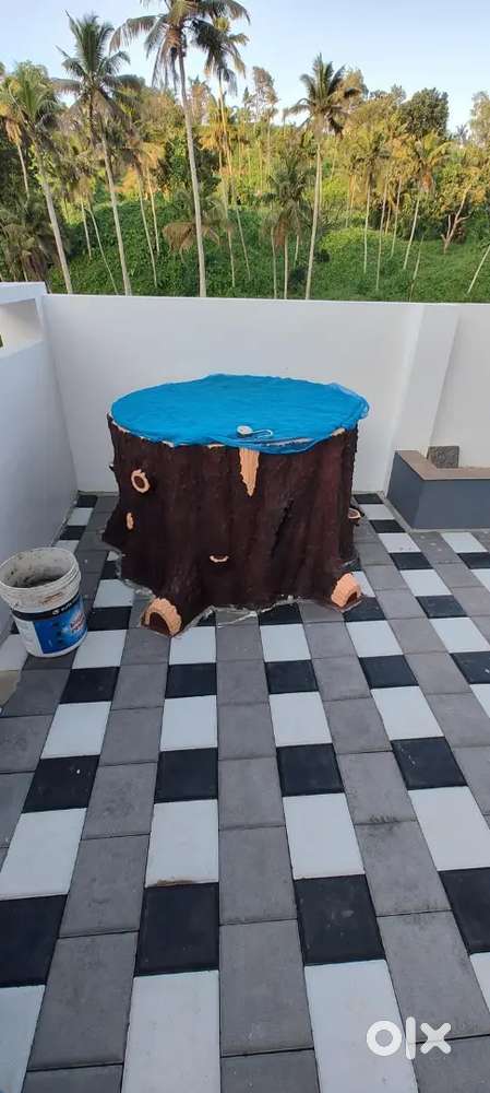 ഇരുനില വീട്, Near Sanjeevani ayurvedic hospital thachottukavu