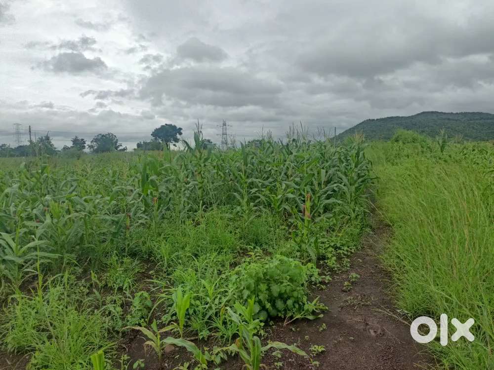 Farm land project indore khandwa road 6 lein haive se kuch hi duri par