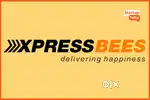 Delivery Boy Executive
