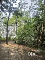 Raghunathganj.murshidabad.arobindopolli.pin 742225