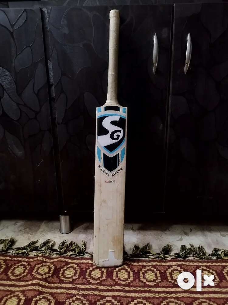 SG Leather Cricket Bat (Kashmir Willow)