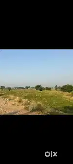 Near Highway 3 bigha agriculture/Farm/Khet land for sale