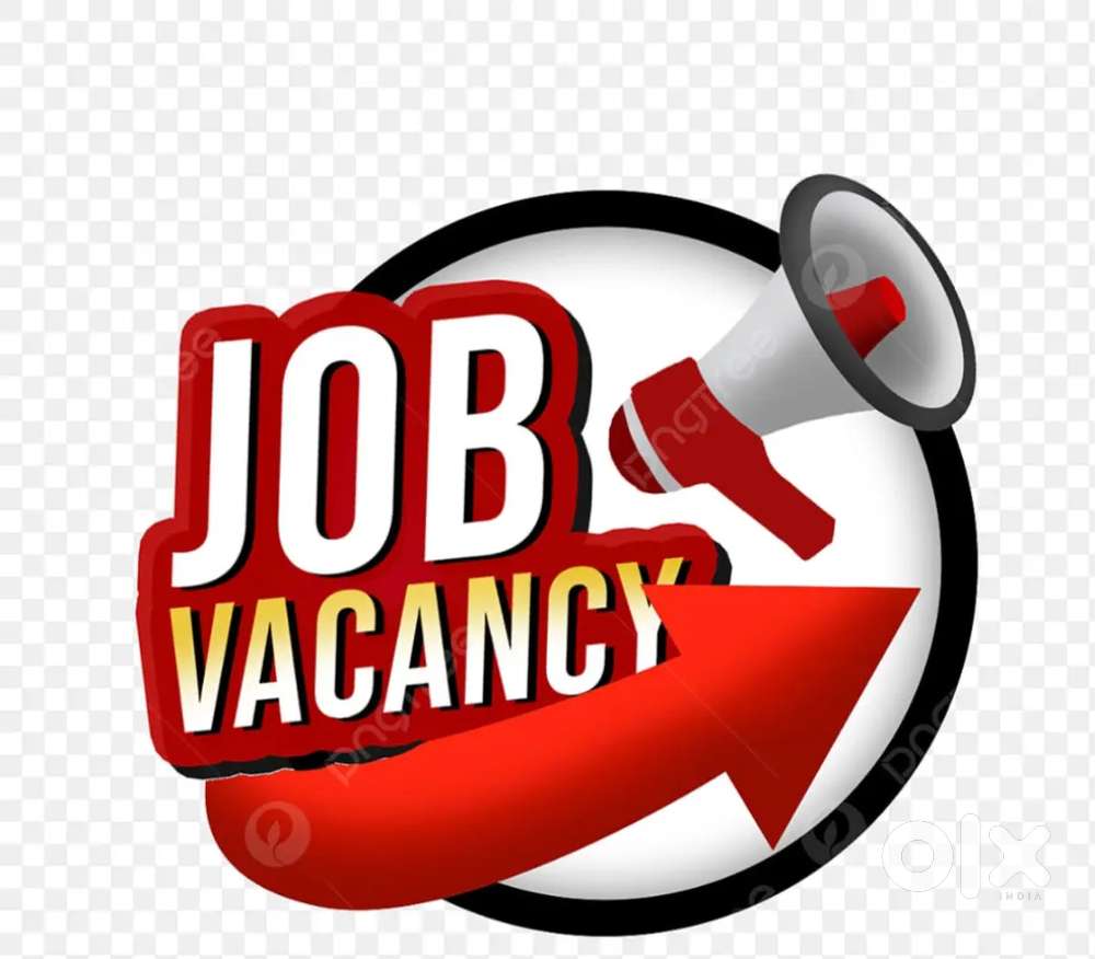 JOB HIRING FOR FRESHERS