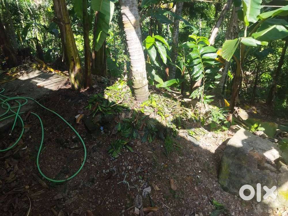 PLOT AND HOUSE FOR SALE