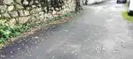 25 CENTS (OLD HOUSE) PRIME RESIDENTIAL PLOT FOR SALE NEAR NANTHANCODU