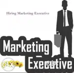 MARKETING EXICUTIVE
