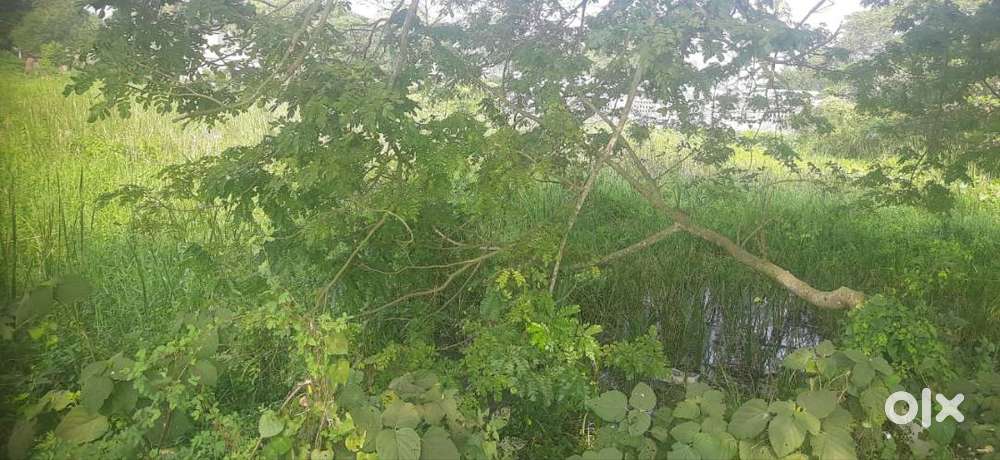 Yellow Zone Gangua Canal Project