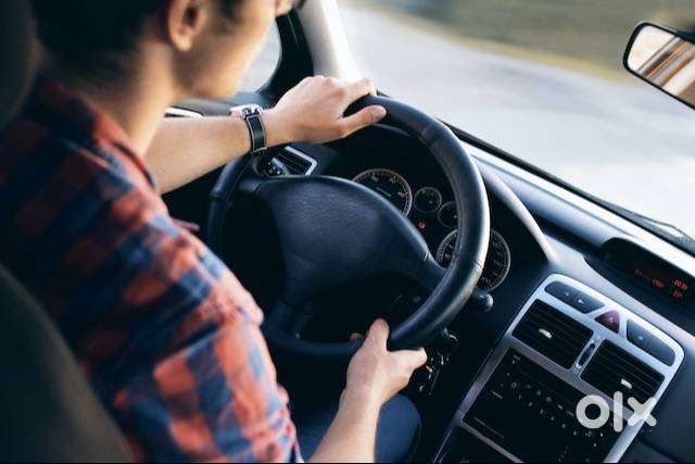 PROFESSIONAL DRIVER WITH HEAVY LICENSE