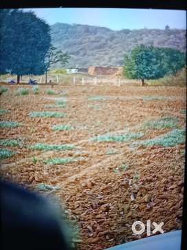 Agriculture land for ekra 15lak