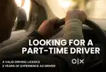 Part-Time Driver - Bhayli - 5-11 pm