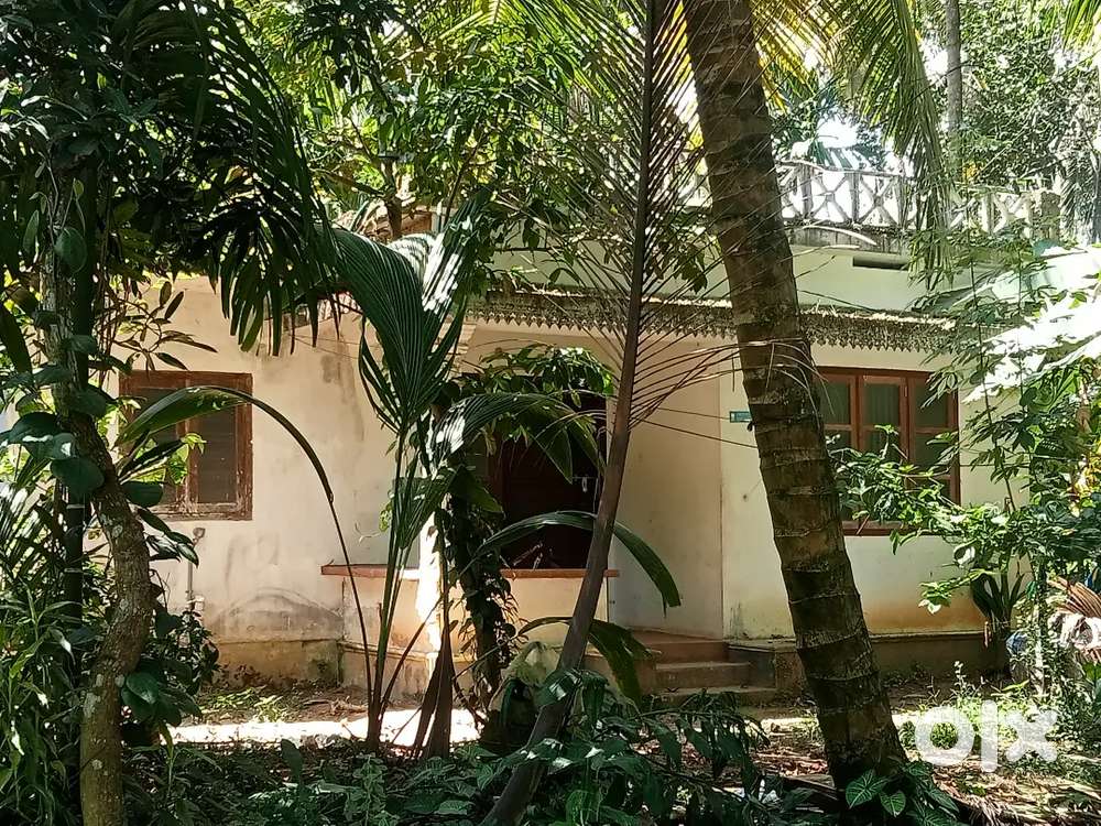 3 kilometres distance from Vatakara town