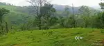 Vagamon Tar Road Frontage 15 Cent LA pattayam Land For Sale