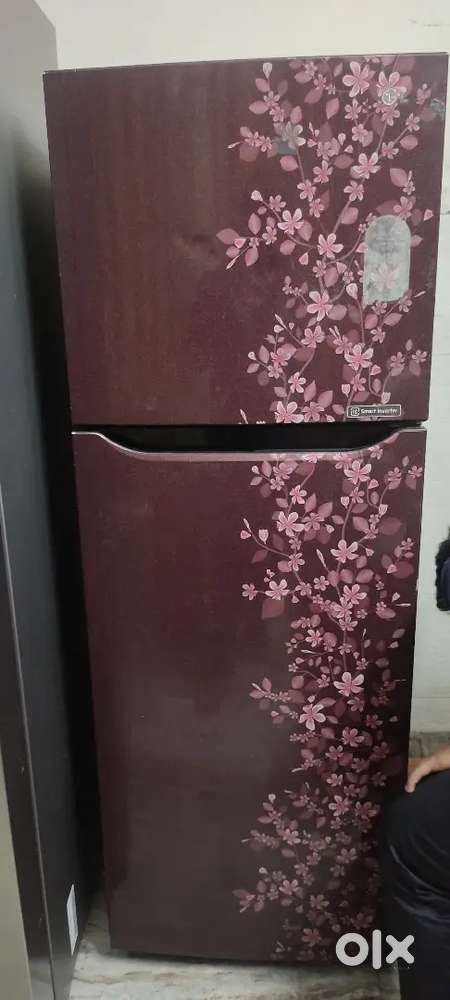 Lg double door 265 ltr.