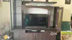 Tv stand with showcase & storage