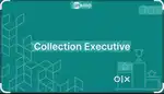 Collection executive