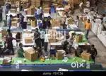 IMMEDIATELY CAN APPLY ENERGETIC CANDIDATES