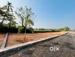 House plot available for sale in Kakkanad, Thuthiyoor