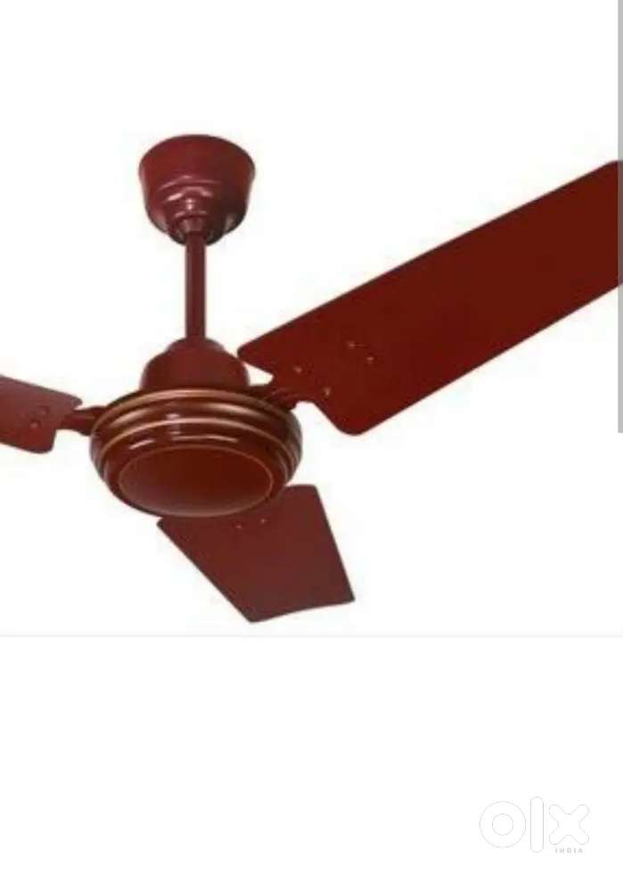 Ceiling Fan