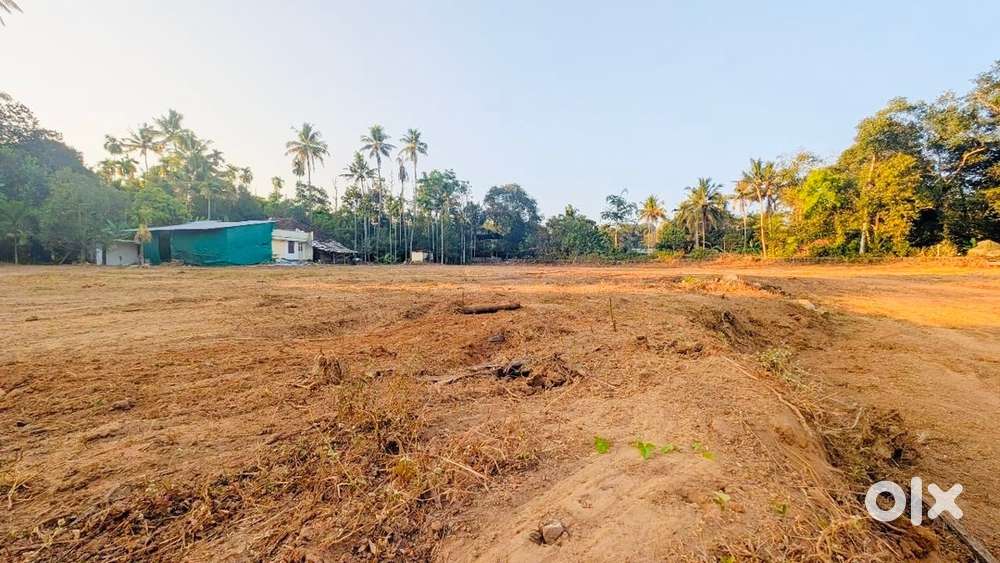 Premium Villa Plot for Sale(5-20 Cent) – Chalakudy Pota