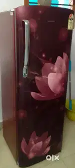 Samsung fridge