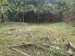 land for sale 16 cent