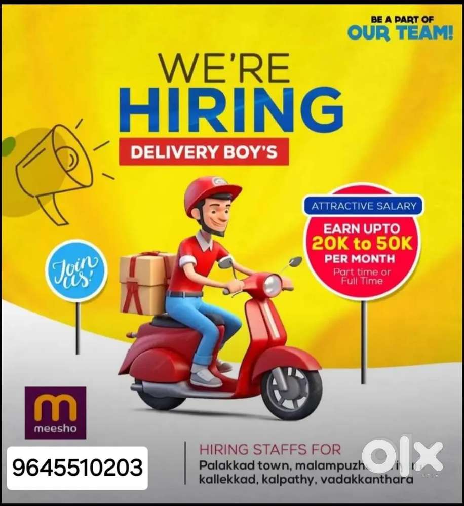 Meesho delivery boy's