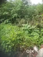 Bilaspur gate