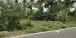 Land for sales near Ellapalayam